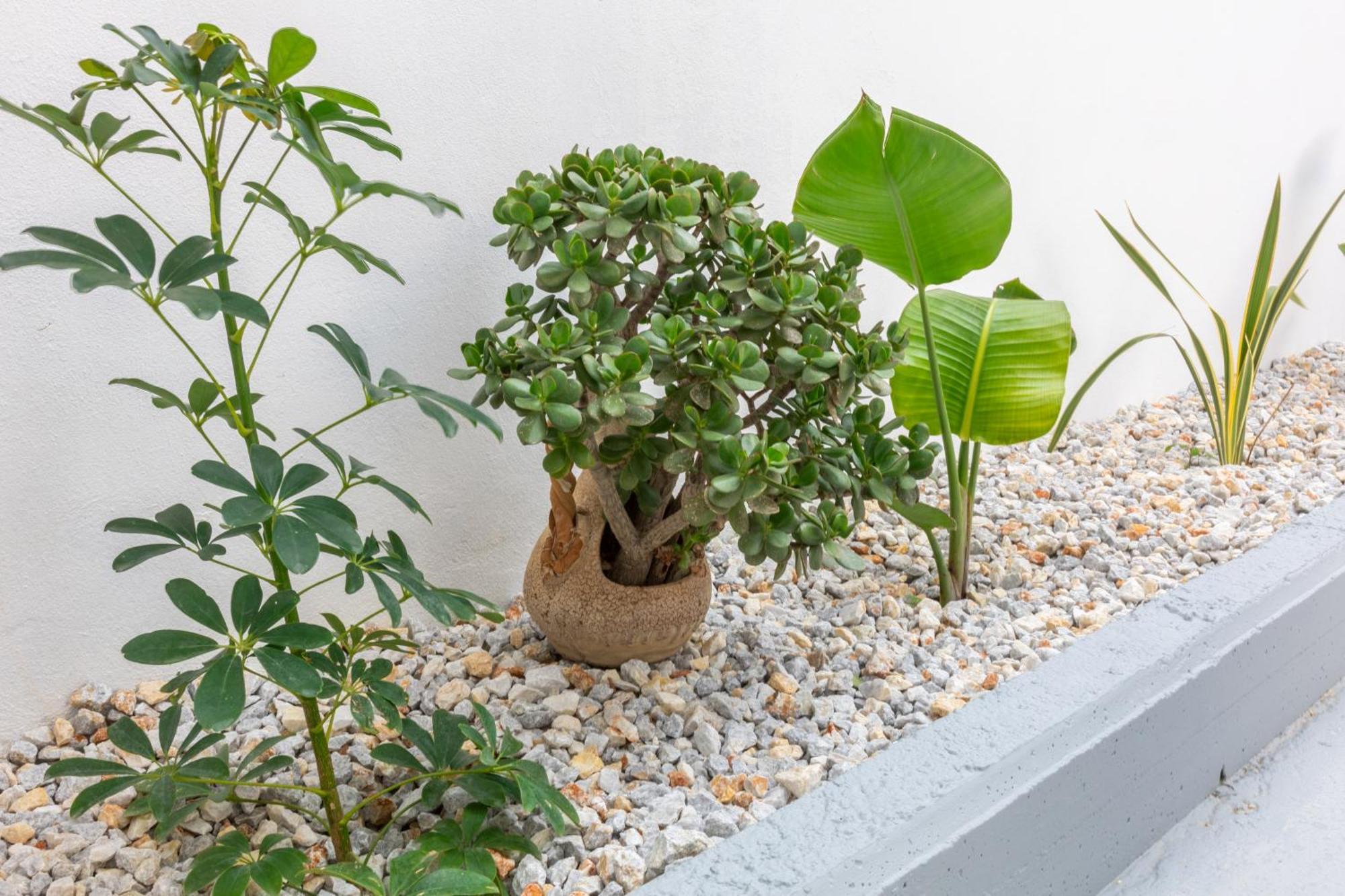 Garden Luxury Apartment Iraklio Exterior foto