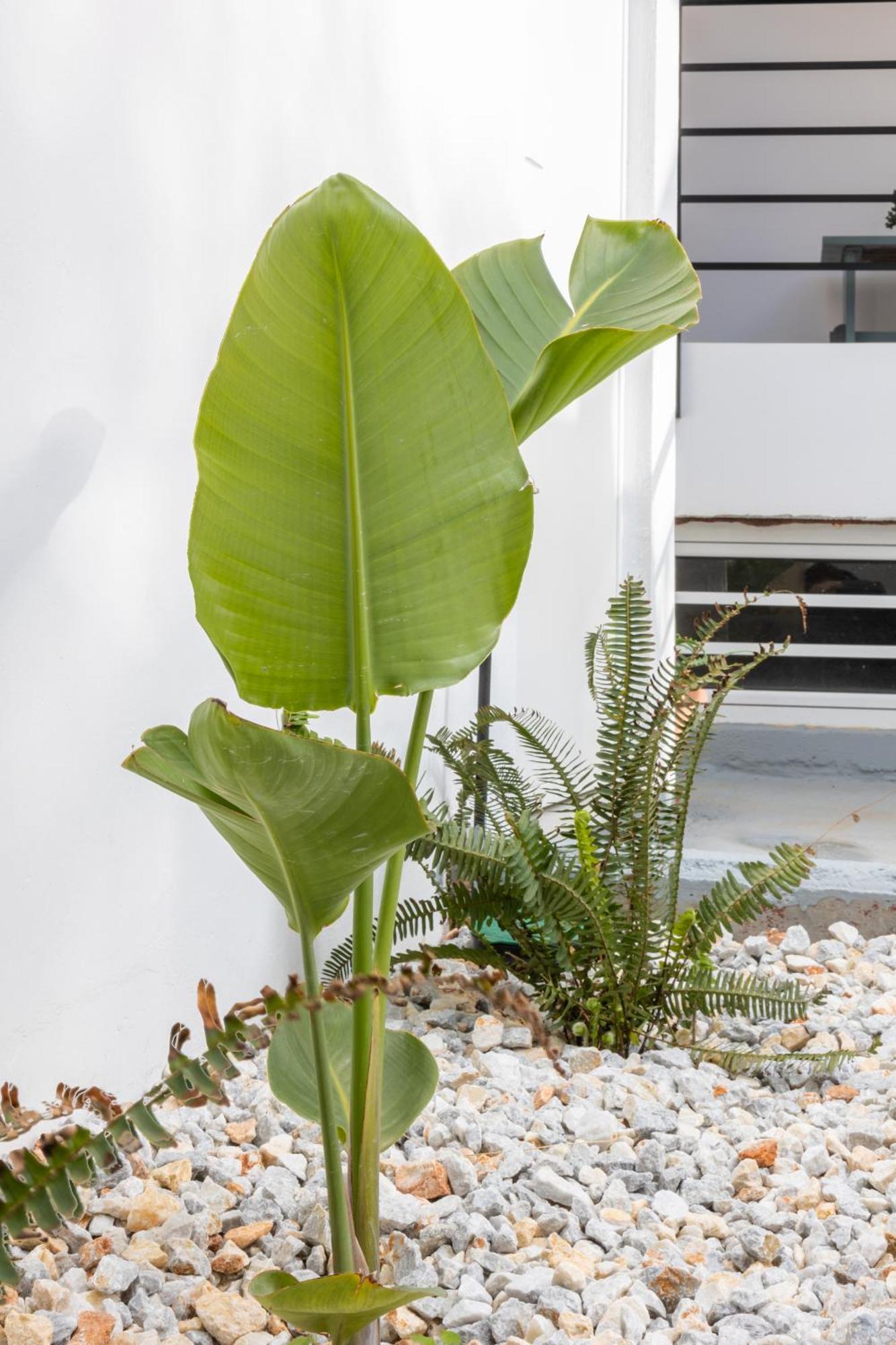 Garden Luxury Apartment Iraklio Exterior foto